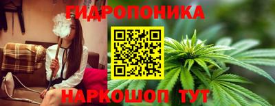 каннабис Аргун