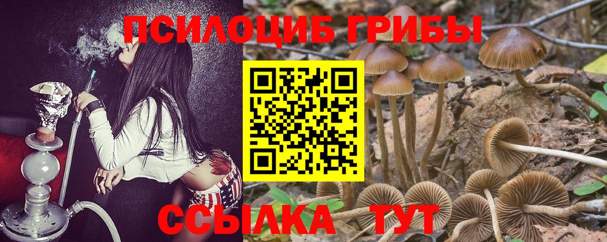 АМФ кристаллы  Белгород  Вход с VPN  Гашиш  МЕФ   COCAIN 
