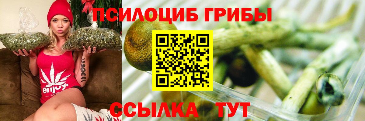 Псилоцибиновые грибы Cubensis Белгород
